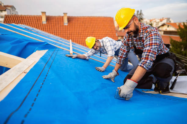 Roof Waterproofing Services in Catalina Foothills, AZ